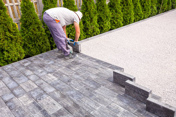 Best Best Driveway Pavers  in Cokato, MN