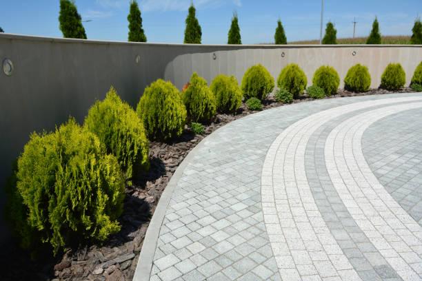 Best Driveway Pavers Cost  in Cokato, MN