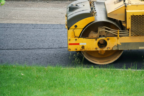 Best Local Driveway Pavers  in Cokato, MN