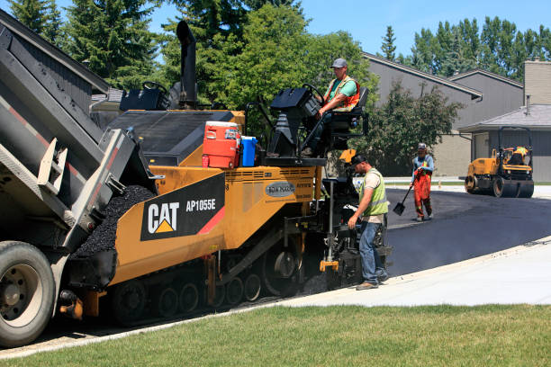 Best Affordable Driveway Paving  in Cokato, MN